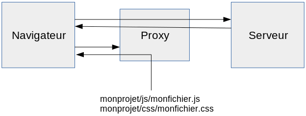 Développeurs front : vous n'utilisez pas de proxy