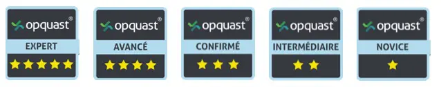 Score Opquast